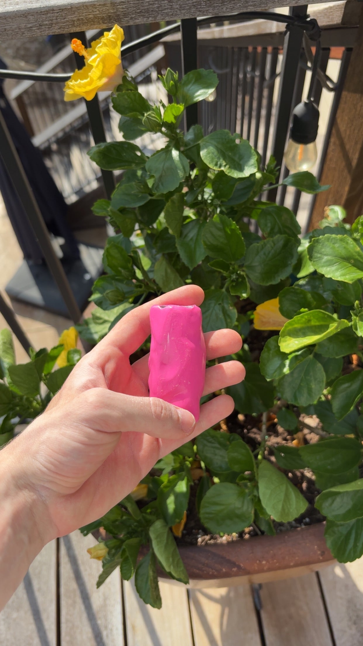 Pink Grinner
