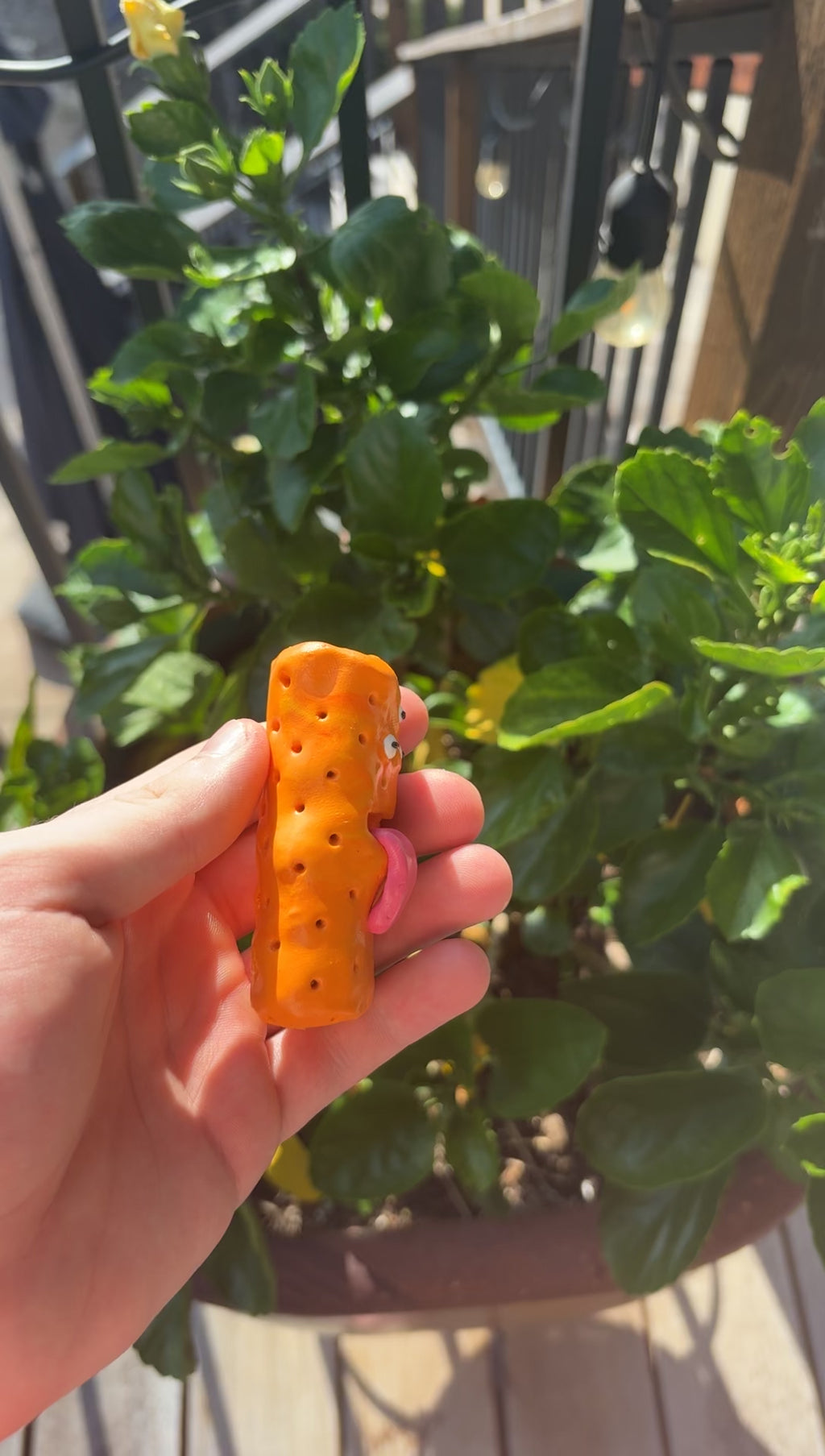 Mr Orange